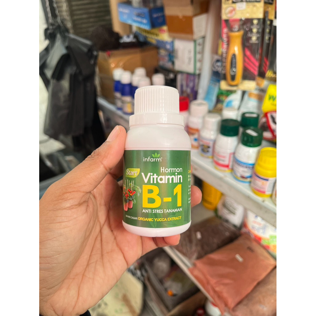VITAMIN B1 INFARM 100 ML