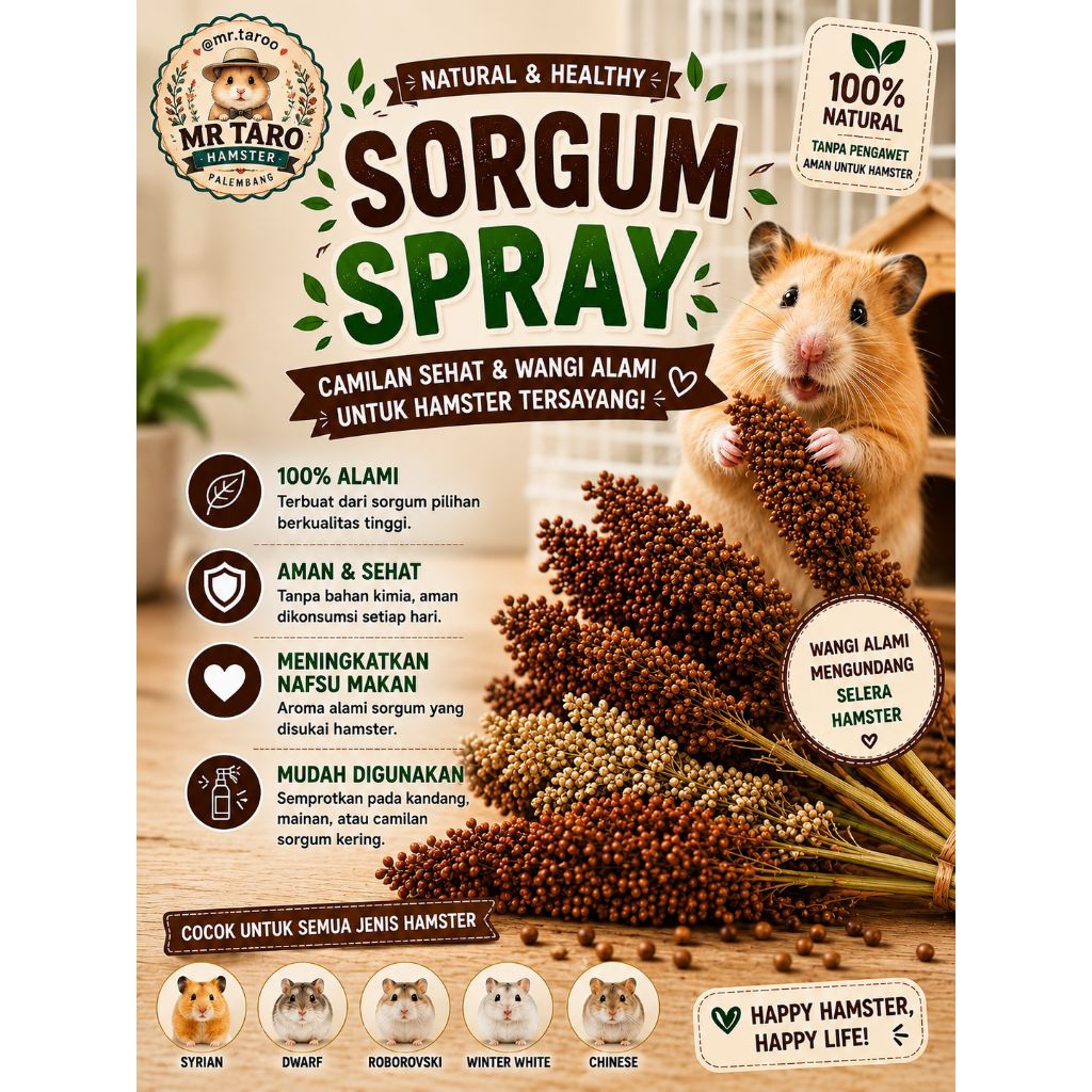 SORGUM / SUDAN GRASS SPRAYS TANGKAI 100 Gram