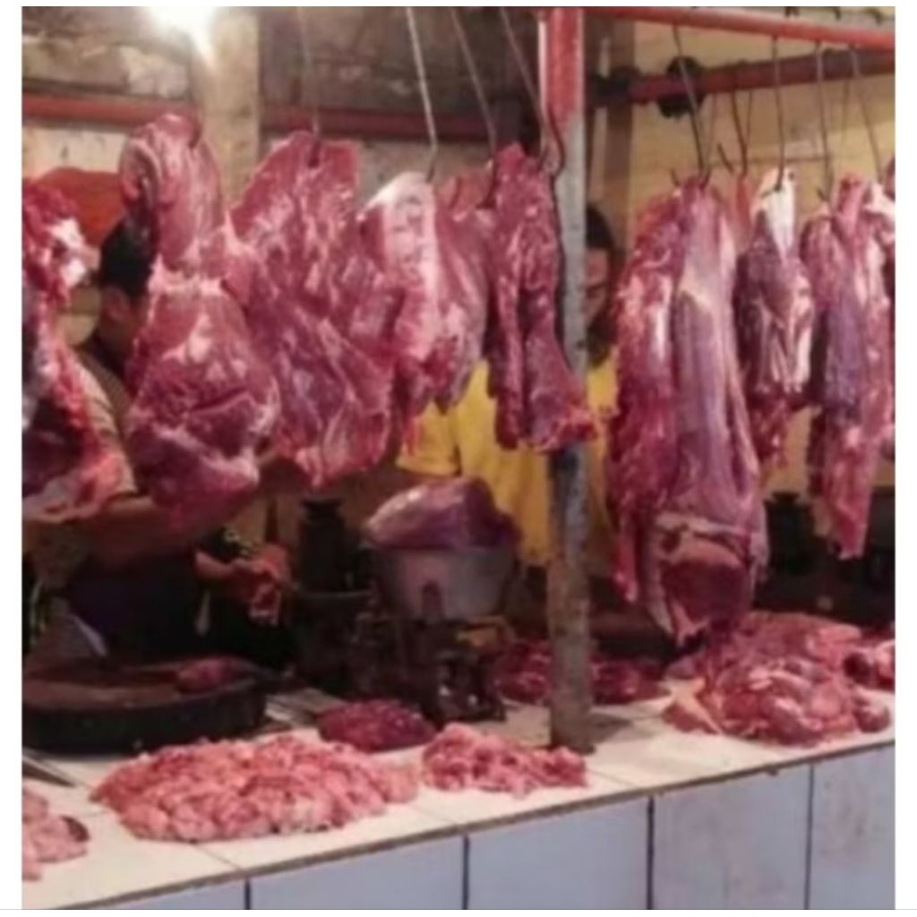 kikil sapi segar fresh/ sapi kikil segar fresh