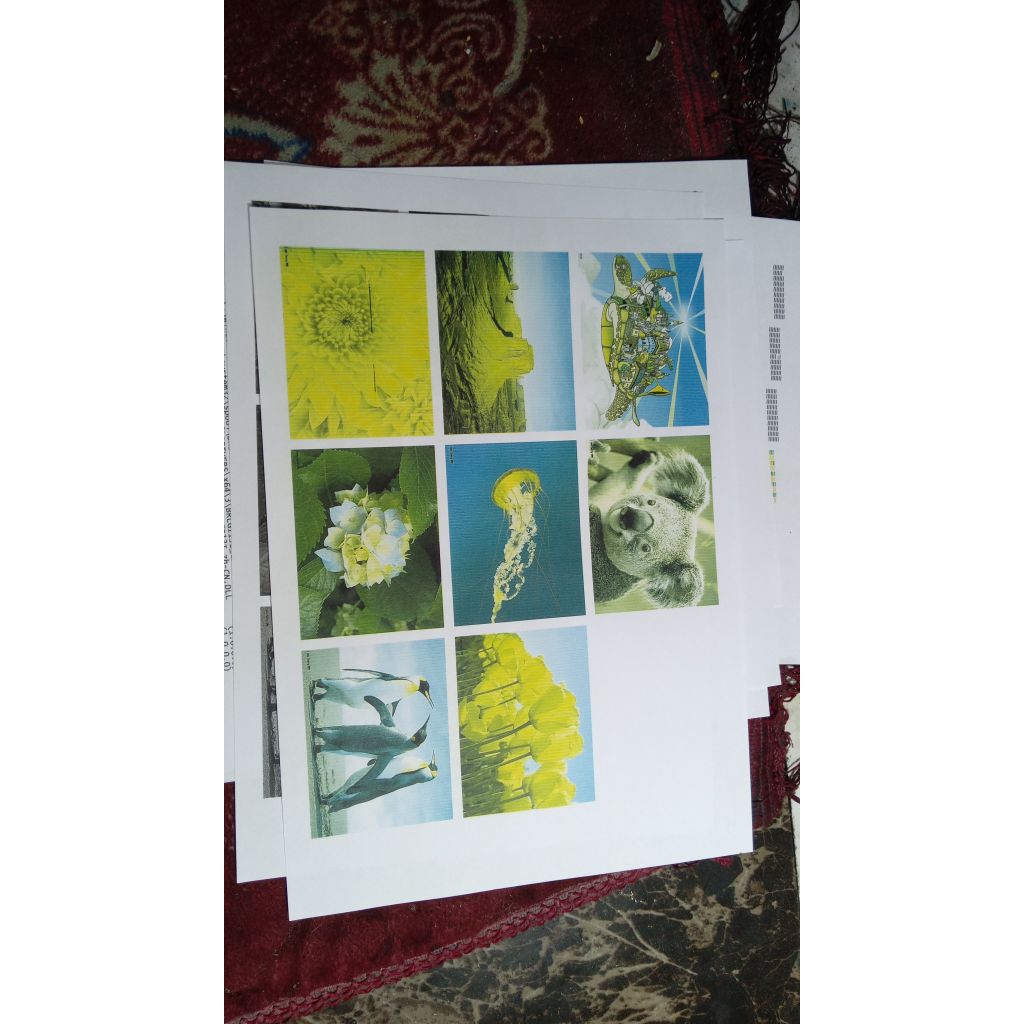 printer brother mfc j200 normal siap pakai
