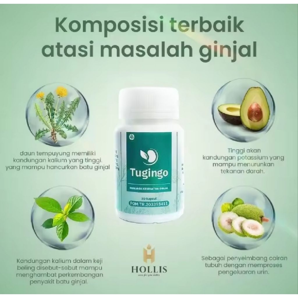 Tugingo Kapsul Herbal Isi 30 Kapsul Membantu Meluruhkan Batu Urin Menjaga Kesehatan Ginjal Tugingo