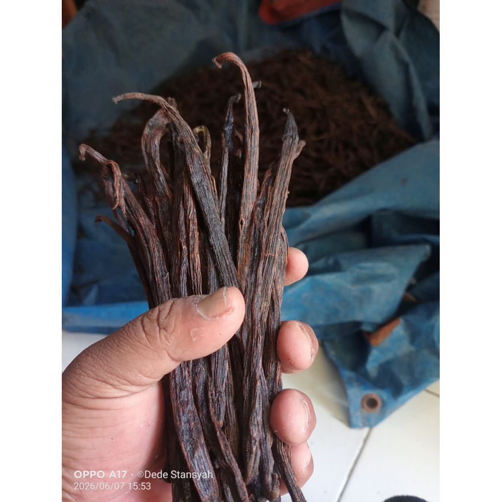 1 kg Vanili Kering Asalan For Extract Vanila