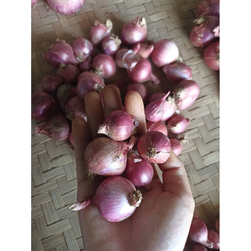 [SUPER] Bawang Merah 1 kg Bersih Termurah Asli Petani Temanggung Ukuran Campur