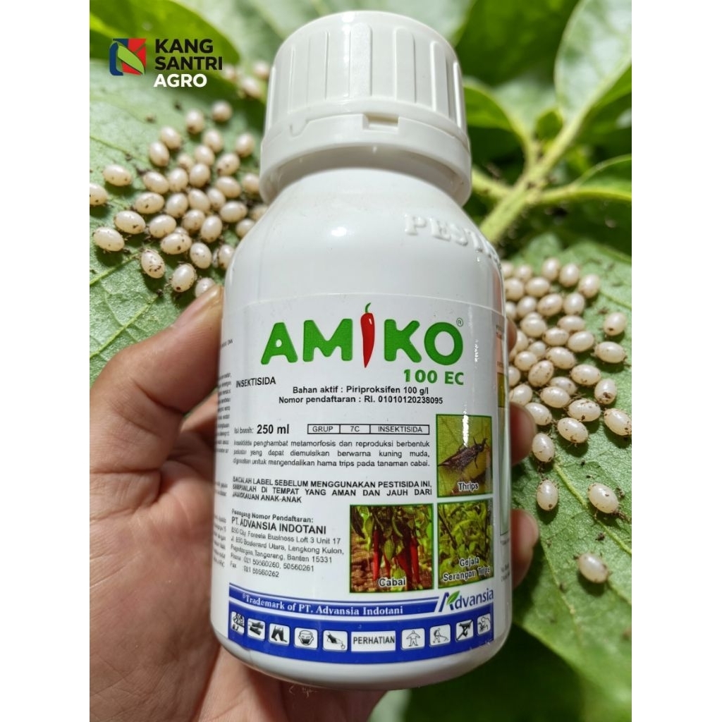 INSEKTISIDA AMIKO 100EC 250 ML