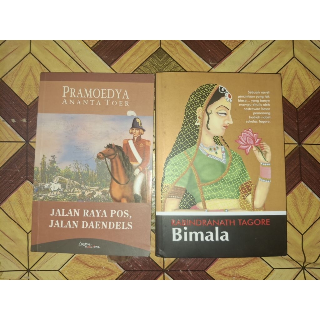 Jalan Raya Pos, Jalan Daendels (novel)