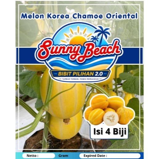Bibit Pilihan Tumbuh Terbaik Panen Memuaskan 2.0 | Bibit Melon Korea Chamoe Oriental | Melon Korea C