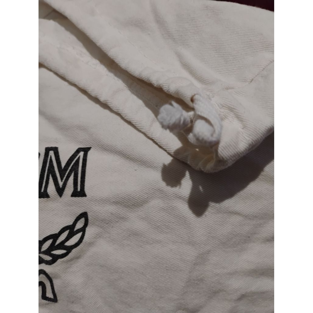 dust bag