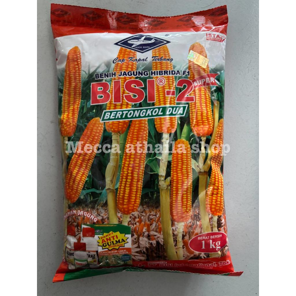 benih jagung bisi 2 PT.BISI