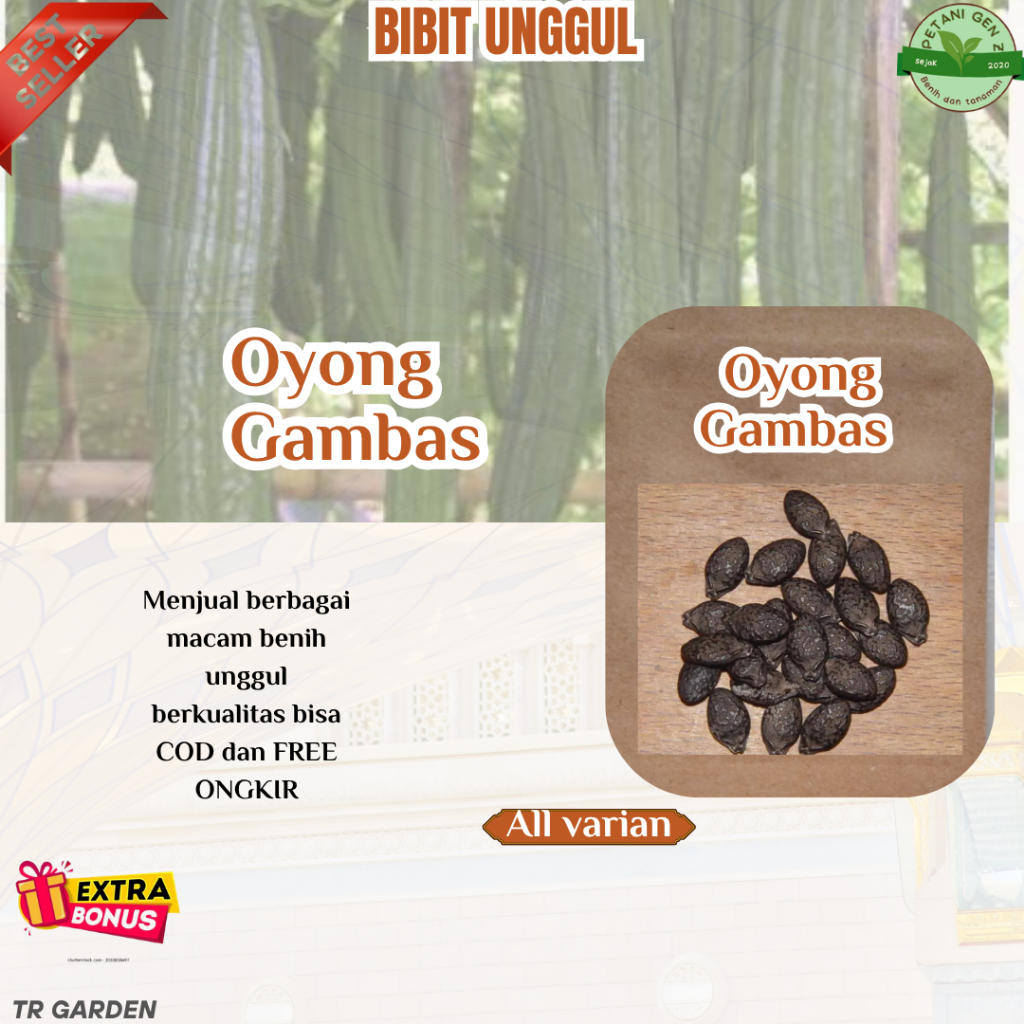 (1 Kg) Bibit Benih Emes / Oyong Unggul (Extra Bonus)