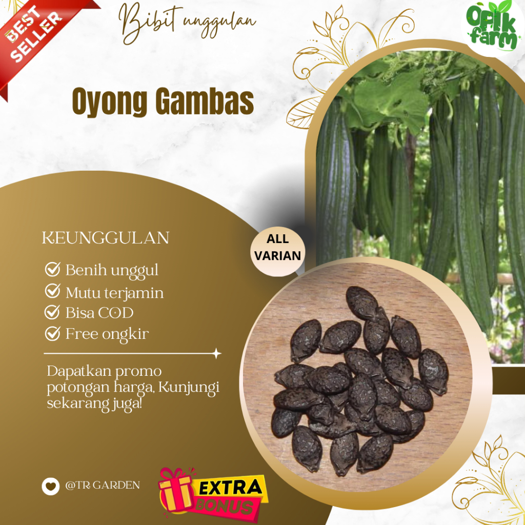 (1 Kg) Bibit Benih Emes / Oyong Unggul (Extra Bonus)