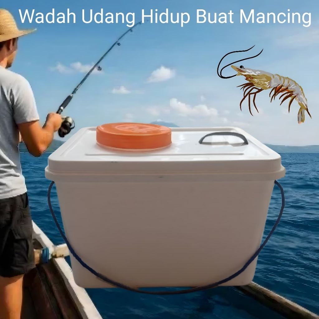 Box Wadah Udang Hidup Buat Mancing Berkualitas dan Nyaman dipakai
