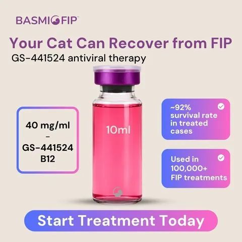 Obat FIP Kucing - Obat FIPV Kucing - Basmi FIP Indonesia Basmifip - 1 Vial 10mL
