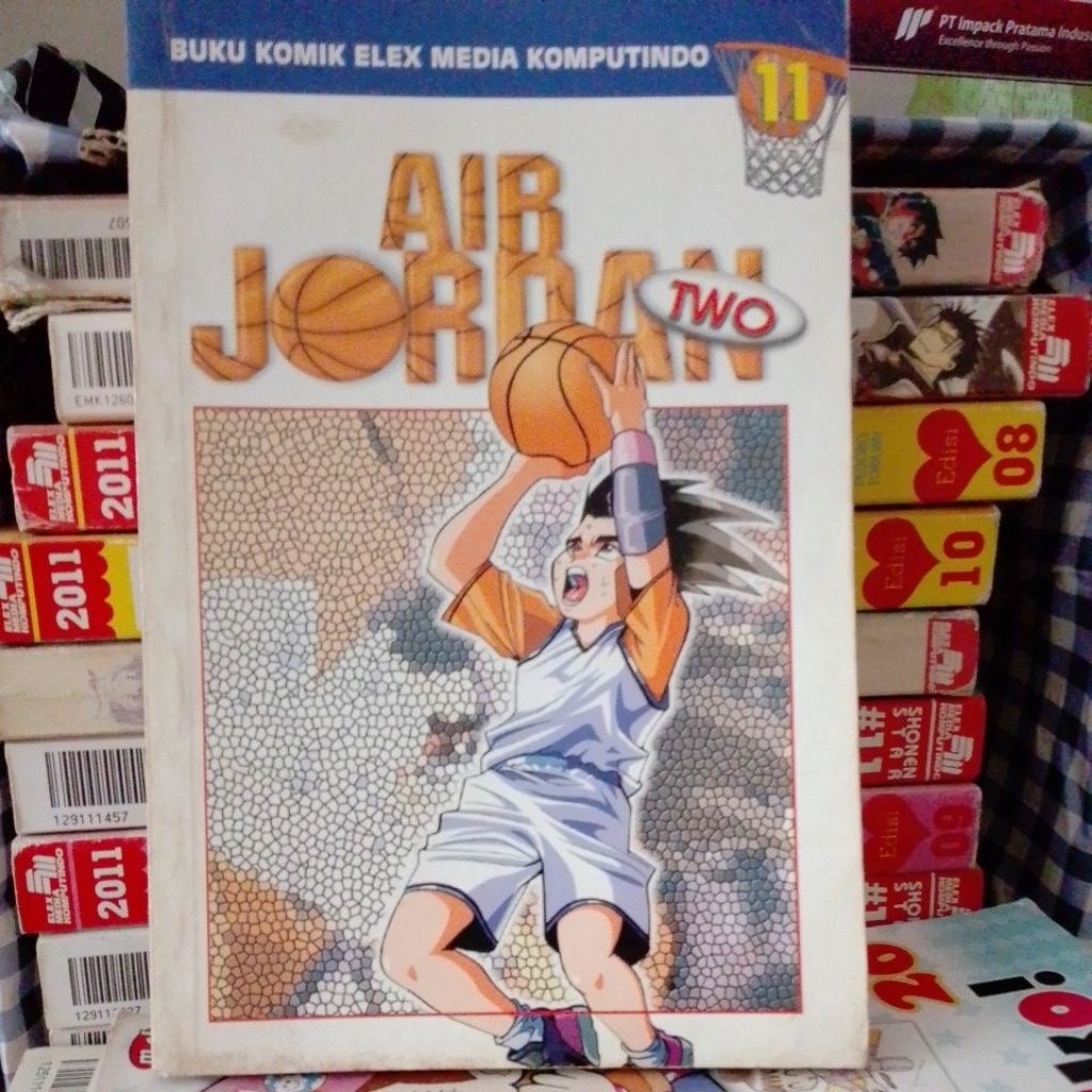 AIR JORDAN 2 vol 11