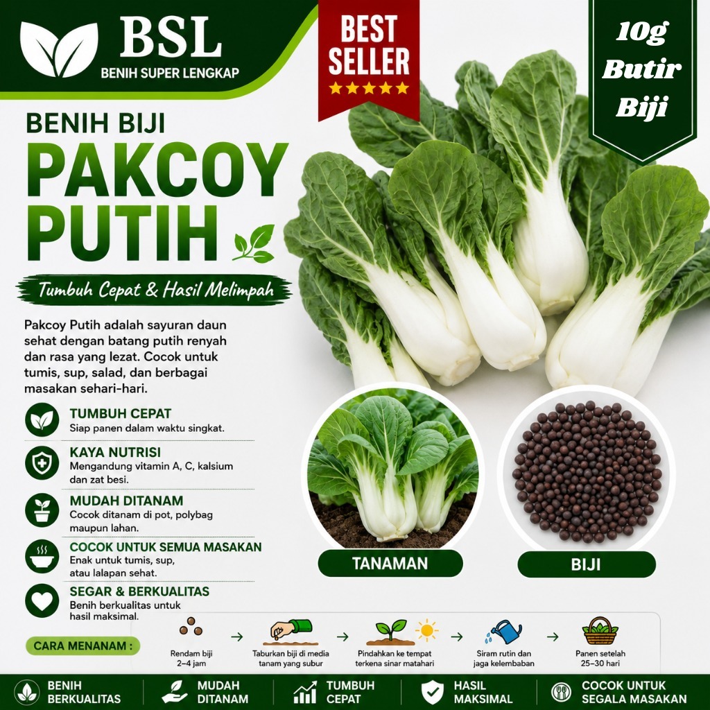 ( 10 Gram ) Benih Biji Pakcoy Putih | Sawi Sendok | Bok Choy | Pak Choy White | UKI BIBIT