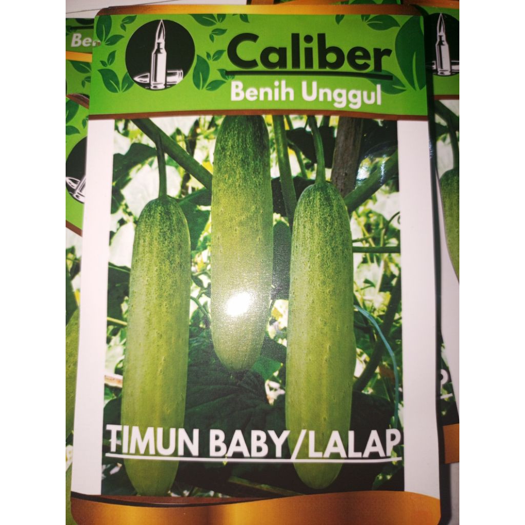 Benih timun lalap putih 10 gram