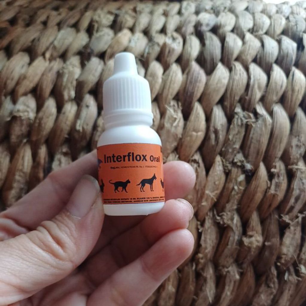 Interflox Oral-Obat Flu Kelinci