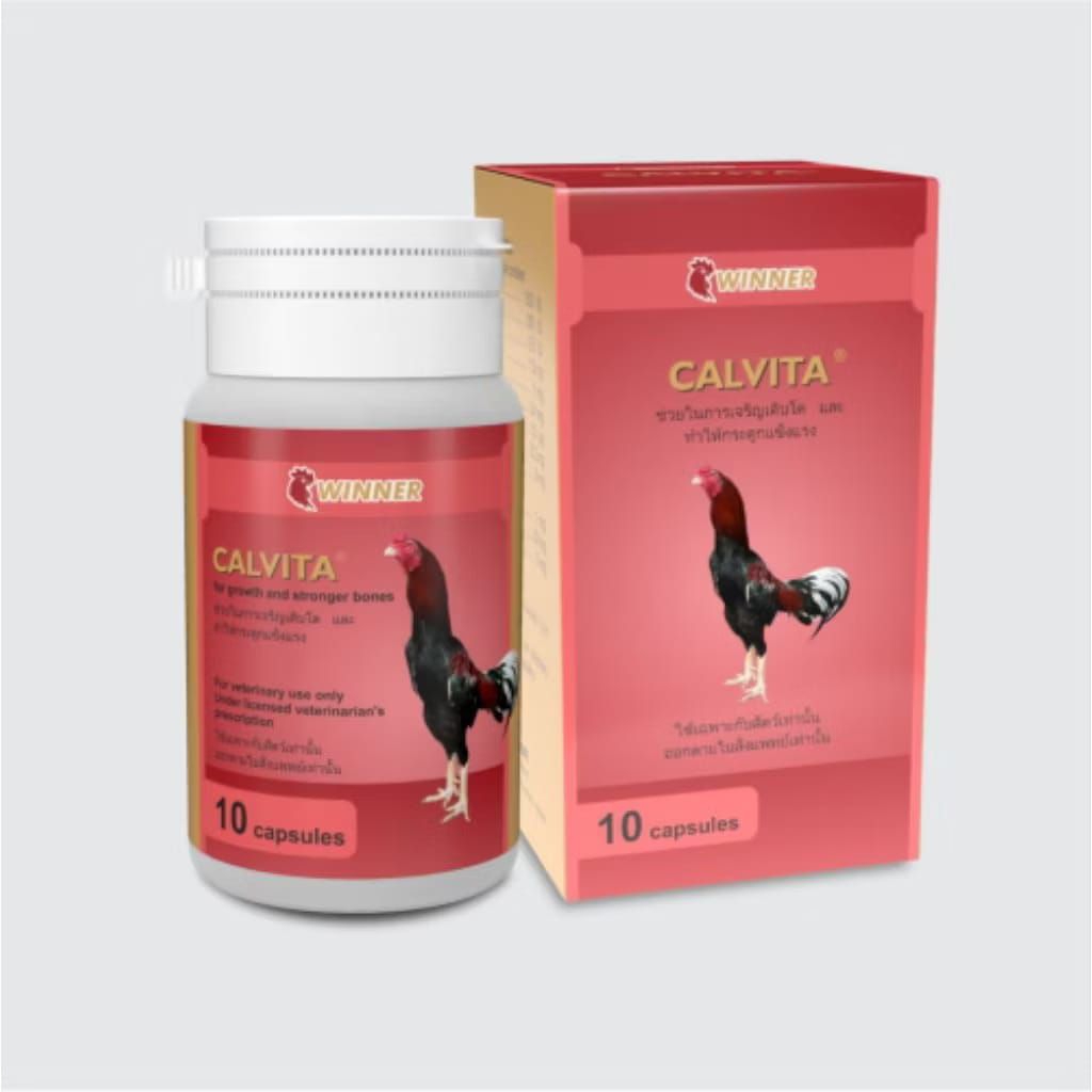 CALVITA WINNER LAGA 10 KAPSUL AYAM PETARUNG ADUAN - Penguat Otot Tulang Ayam Laga Ayam Lumpuh Kalsiu