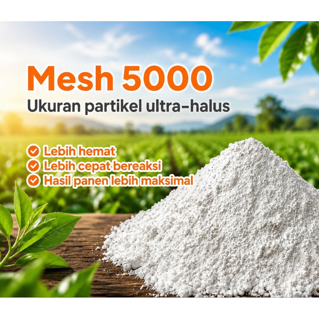 calsium 95% mesh 5000 ultra halus calsium carbonate CaCO3 1 kg