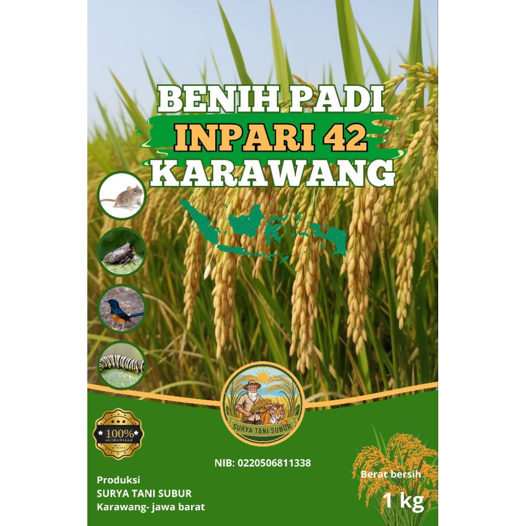 Benih Padi Inpari 42 premium kualitas mantul