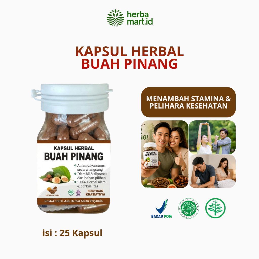 KAPSUL BUAH PINANG Tahan Lama Buah Pinang Muda Untuk Pria Perkasa