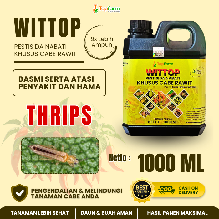 Obat Thrips Pada Tanaman Cabe Rawit / Pestisida Hama Thrips Cabe Rawit / Pestisida Topfarm / Obat Tr
