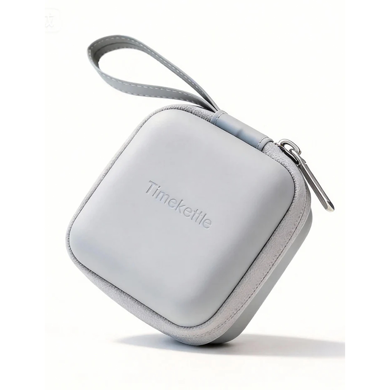 Timekettle W4 AI Interpreter Earbuds Case