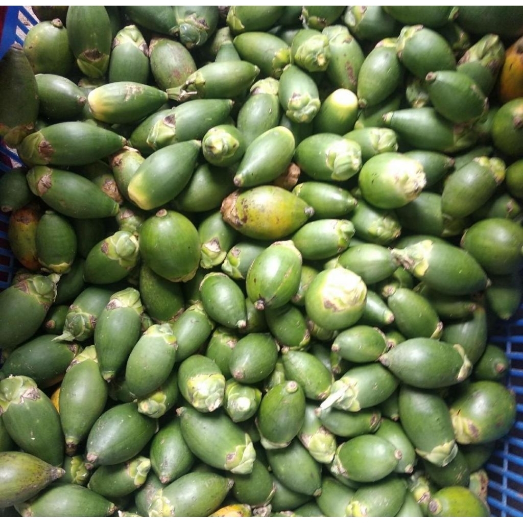 Buah pinang muda per 1 kg / jame muda penambah stamina pria