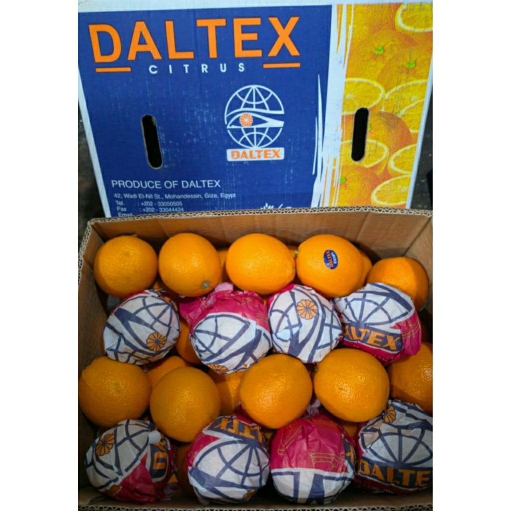 sunkist valencia mesir