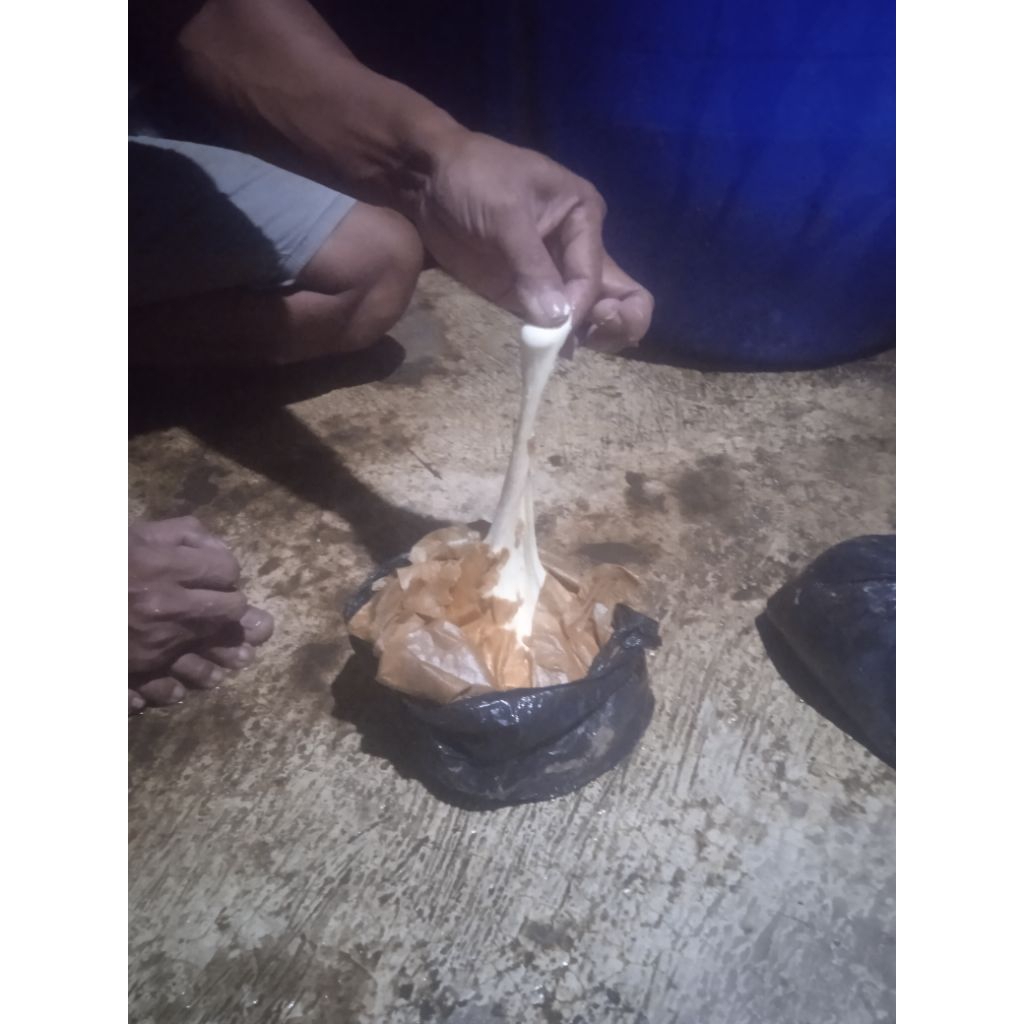 PULUT BURUNG super lengket 1 kg