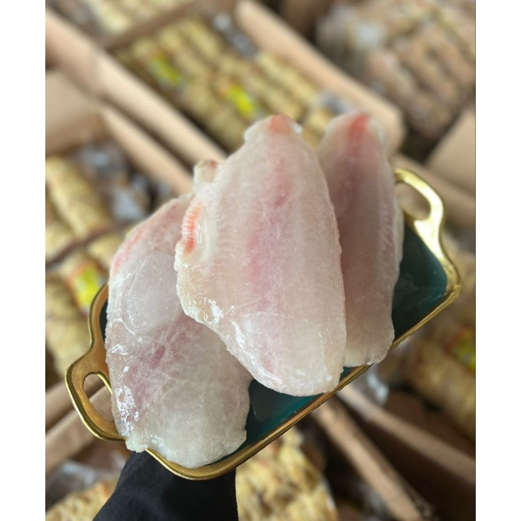IKAN DORI FILLET SEGAR