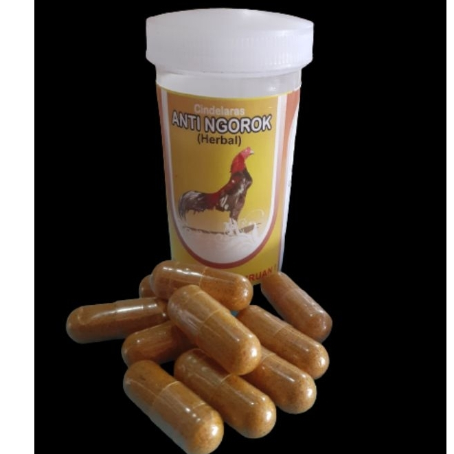 ANTI NGOROK HERBAL ALAMI UNTUK AYAM ADUAN OBAT AYAM NGOROK