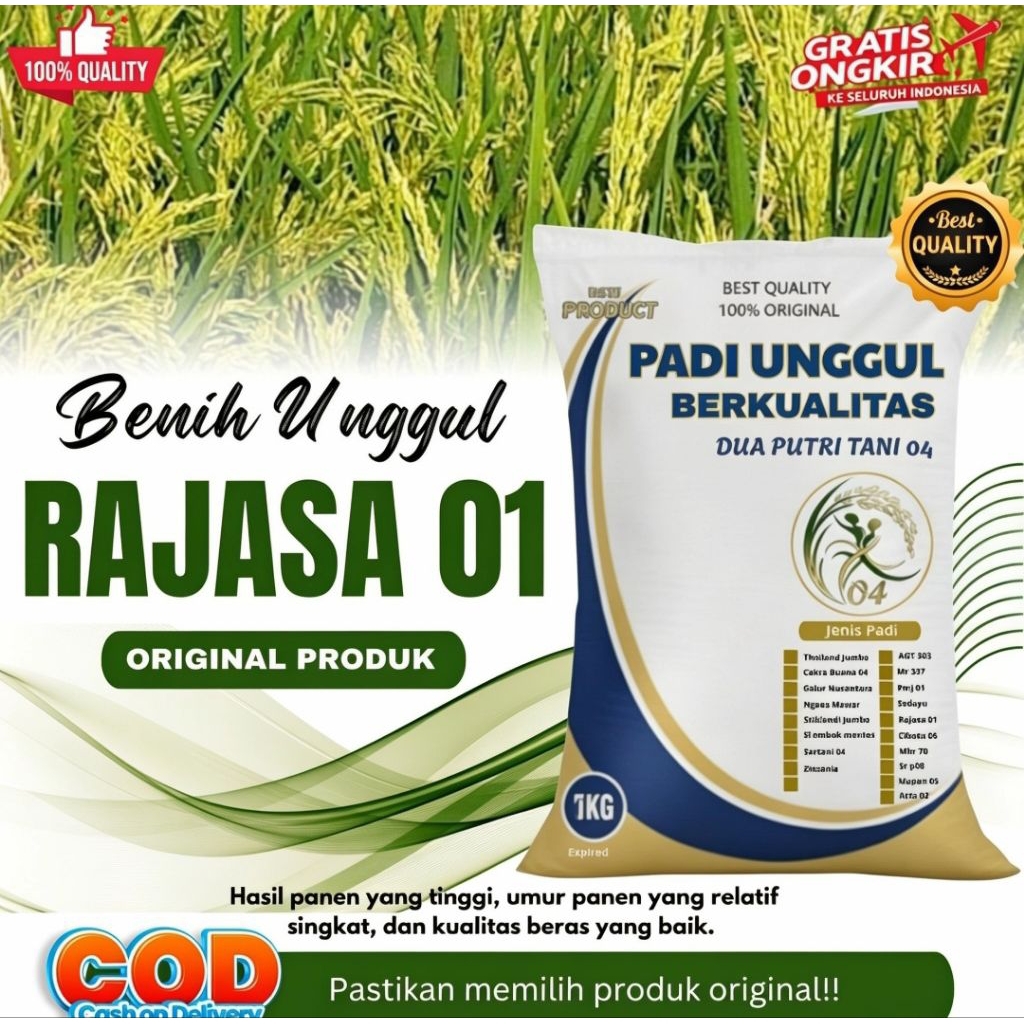 Bibit Padi Unggul RAJASA 01 Kemasan 1 Kg