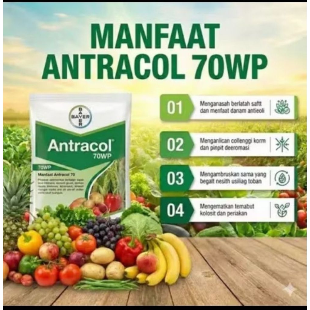 ANTRACOL 1kg