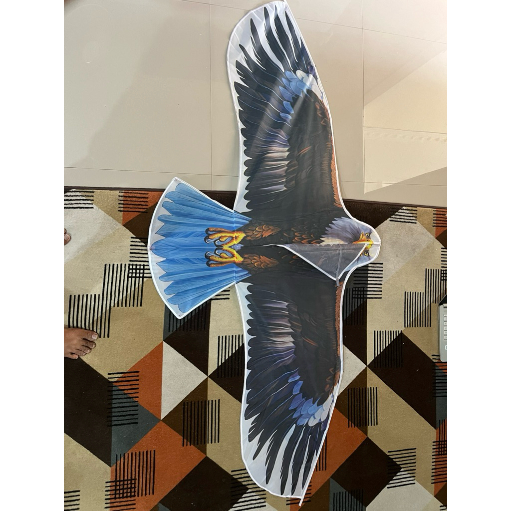 layangan burung elang