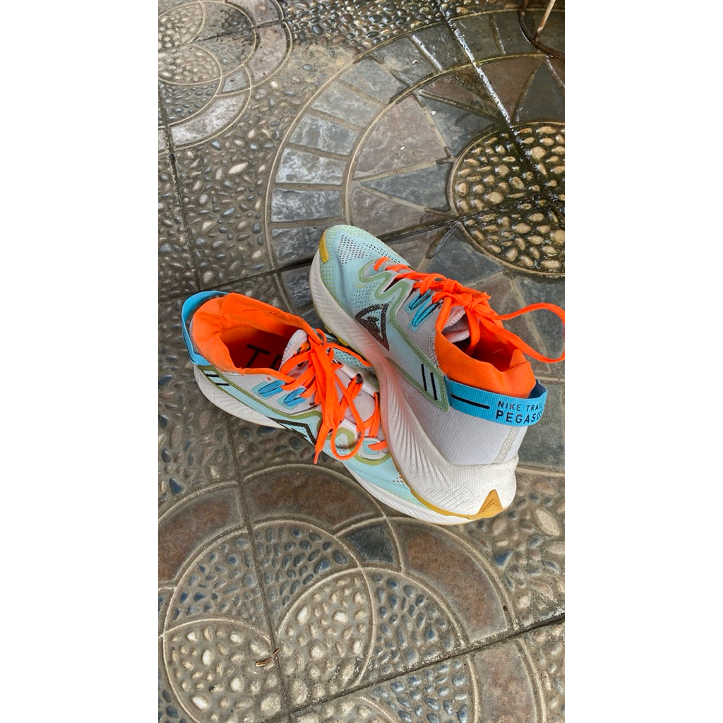Nike Pegasus Trail