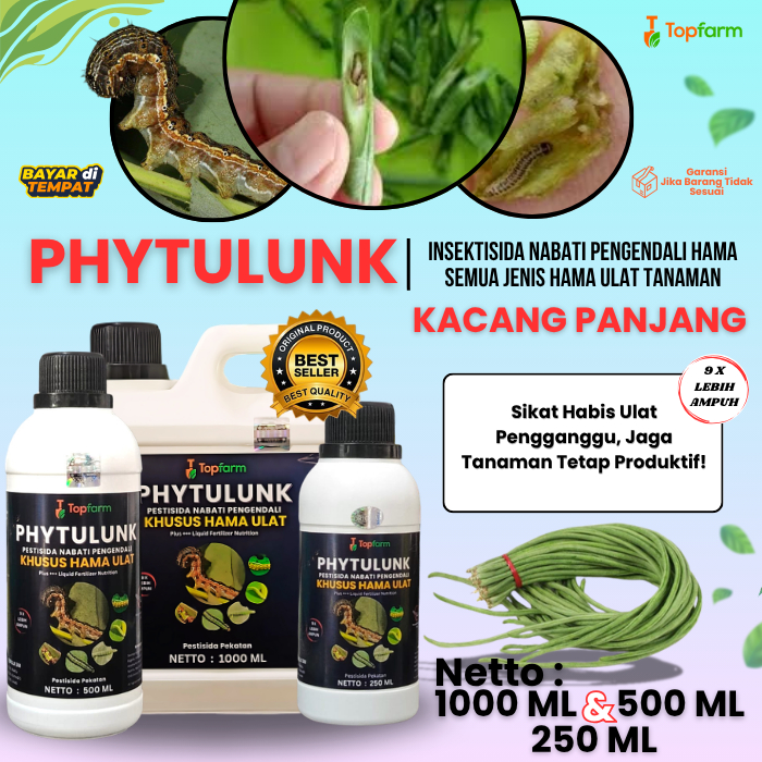Obat Pembasmi Ulat Kacang Panjang / Obat Ulat Pemakan Daun Kacang Panjang / Pestisida Pengendali Ham