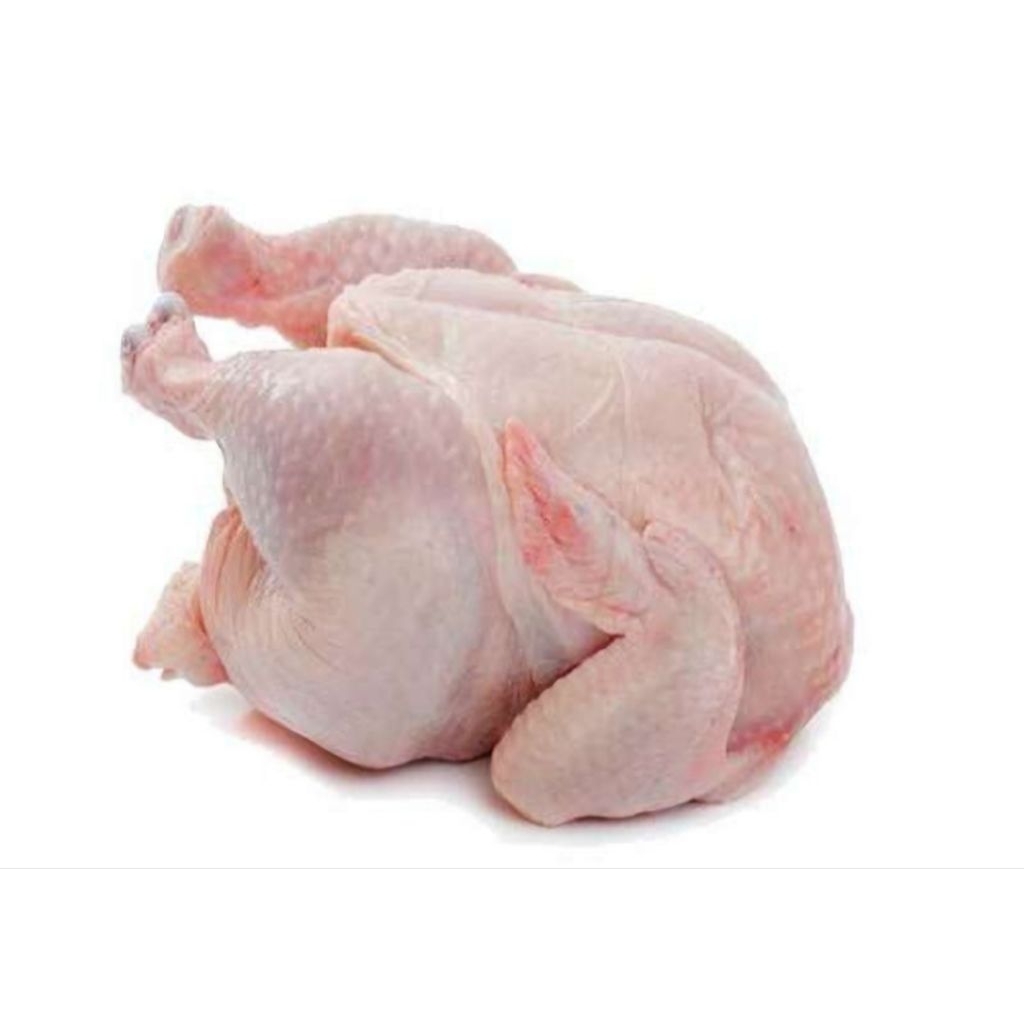 karkas utuh / ayam broiler