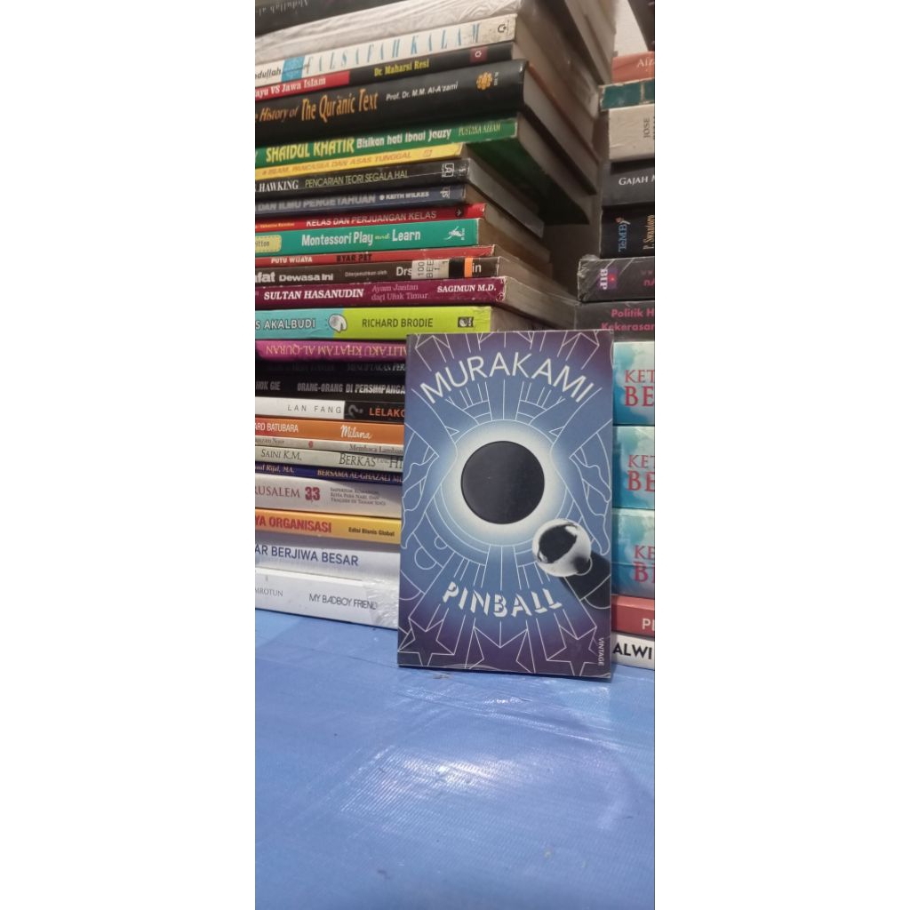 Haruki Murakami Pinball