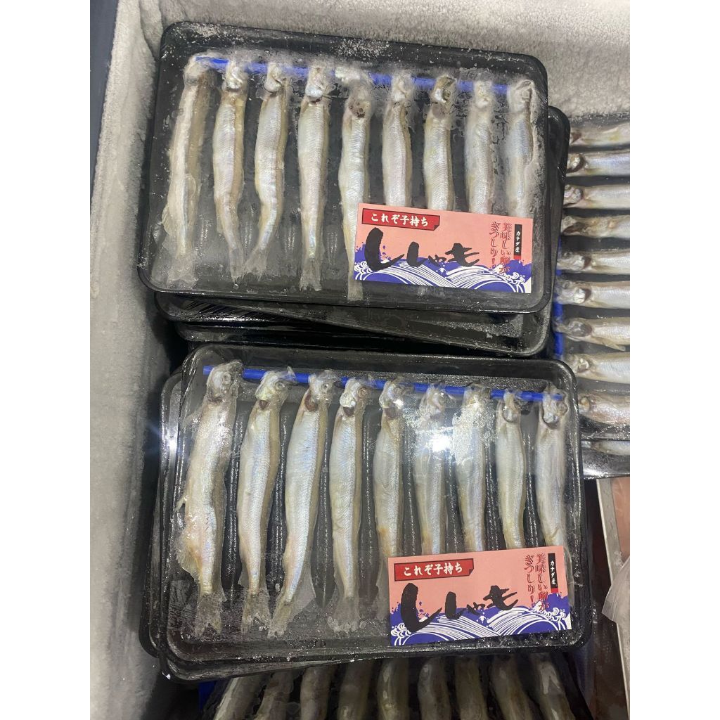 Ikan Shisamo Frozen Capelin