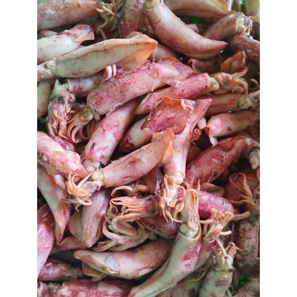 Asin Sontong premium 250g enak dan segar cocok untuk teman makan sehari hari
