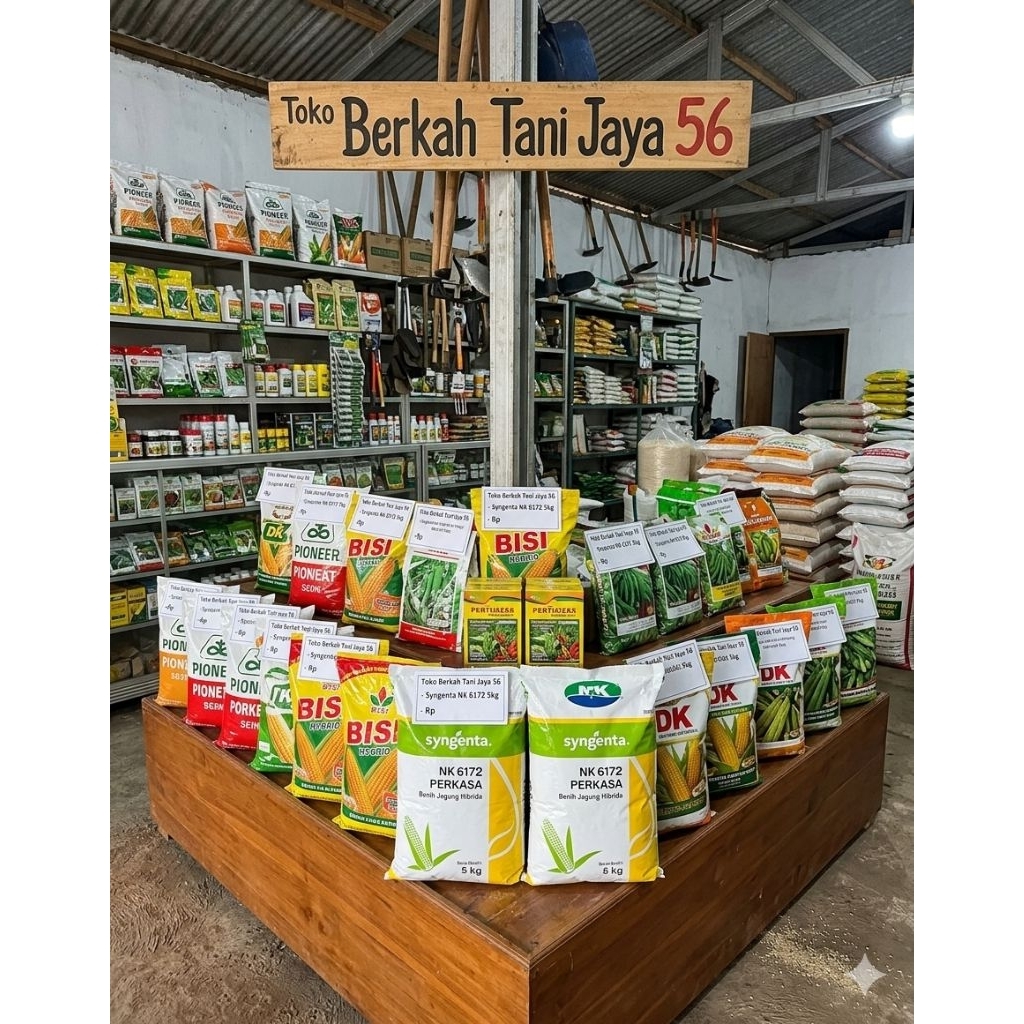 1klo benih jagung F1 bersertifikat NK 6172 perkasa dr syngenta siap tanam