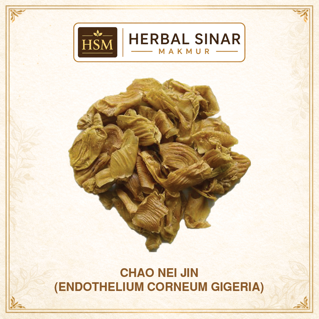 HSM - Ji Nei Jin (Mentah) - Herbal Penghancur Batu Ginjal & Solusi Pencernaan Berat