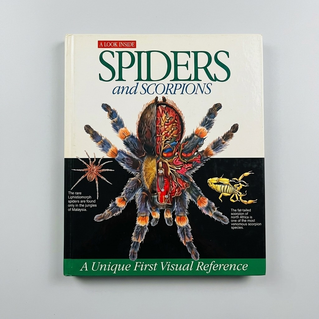 A Look Inside Spiders And Scorpions Book