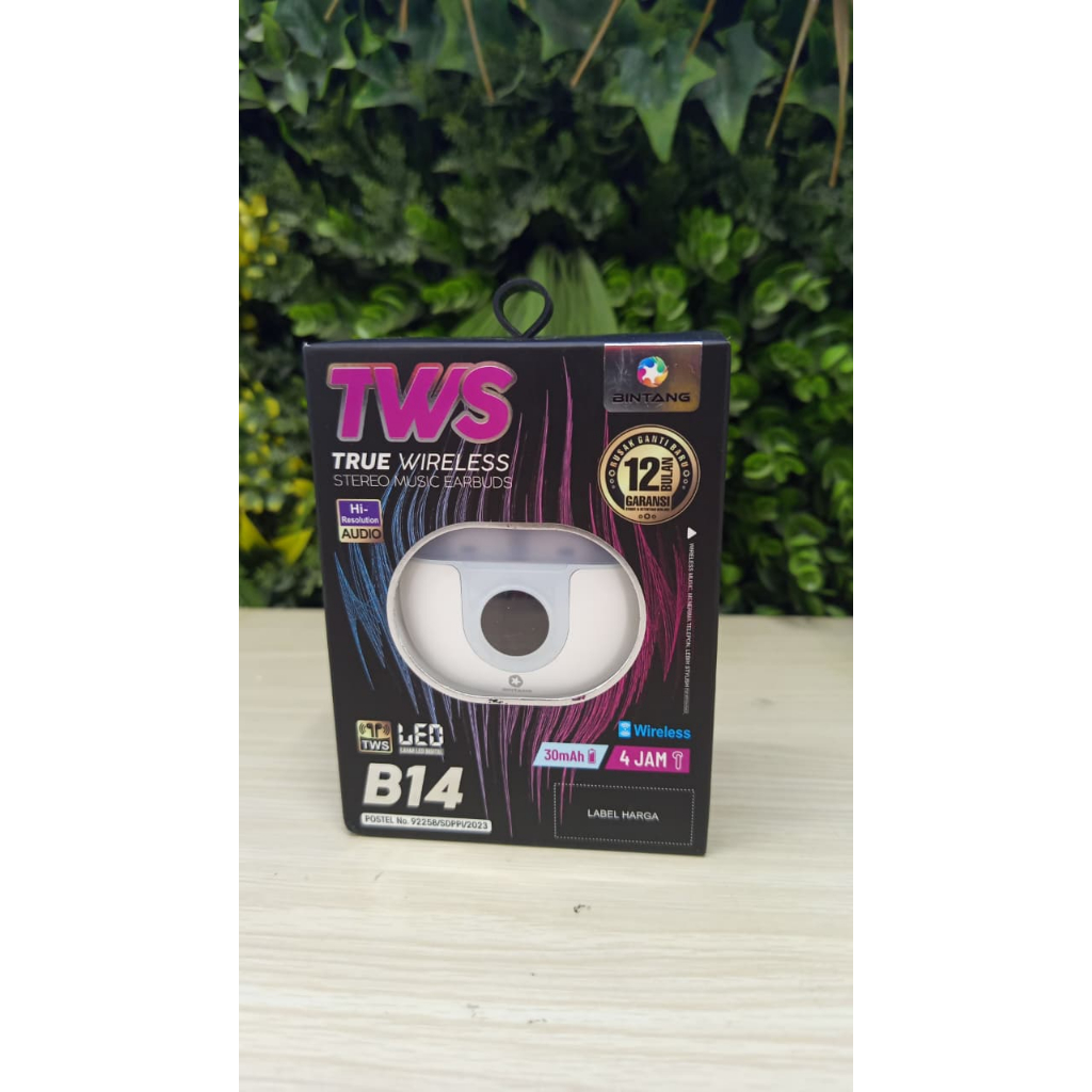 TWS BINTANG B14