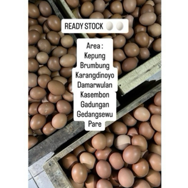 Telur Ayam Fresh Instan 2kg | Telur Ayam | Telur Ayam Pare | Telur Ayam Kediri | Telur Ayam Kandanga