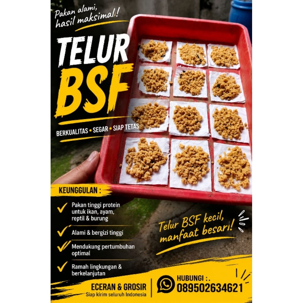 Promo Telur maggot BSF paket 10gram kualitas premium TERMURAH