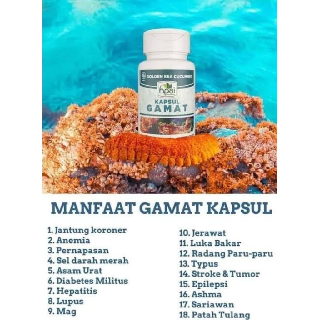 KAPSUL GAMAT HPAI