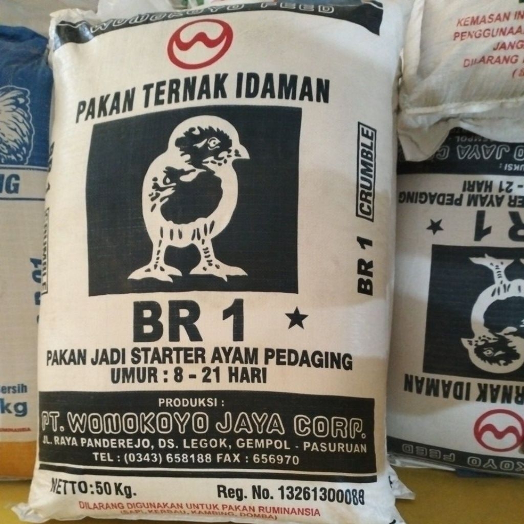 BR 1 Pakan Ayam Starter 50 KG Wonokoyo Original