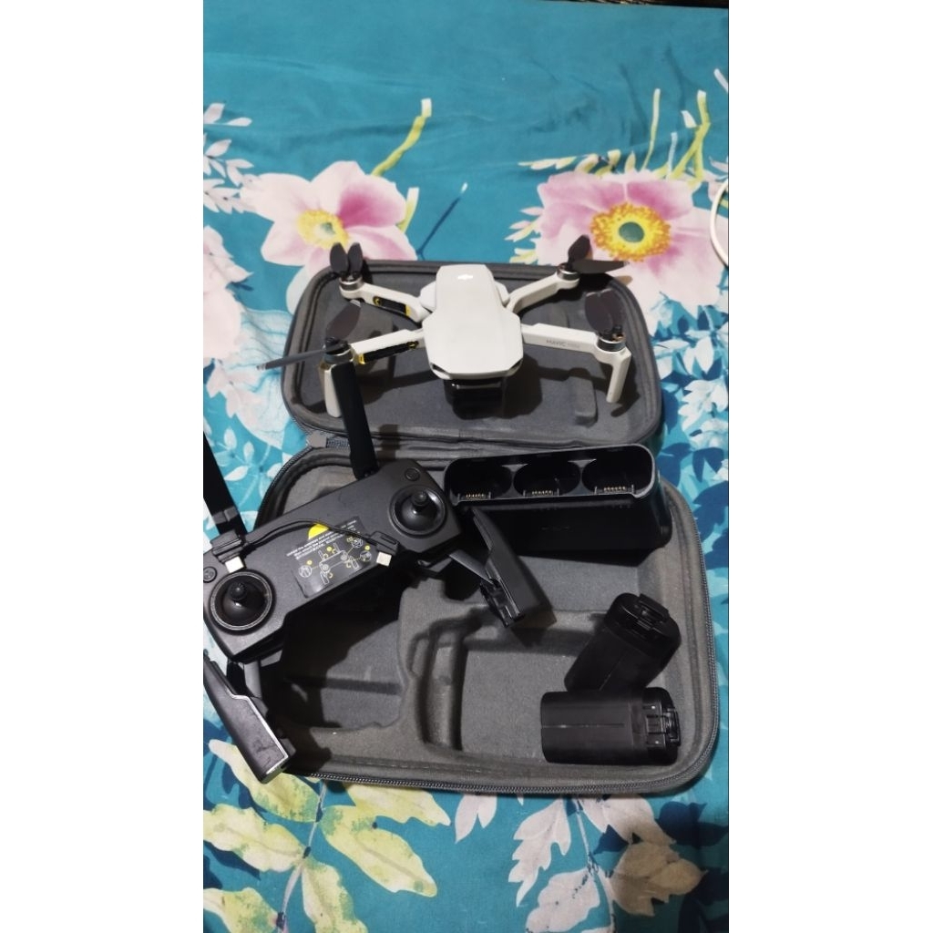 Dji Mavic Mini