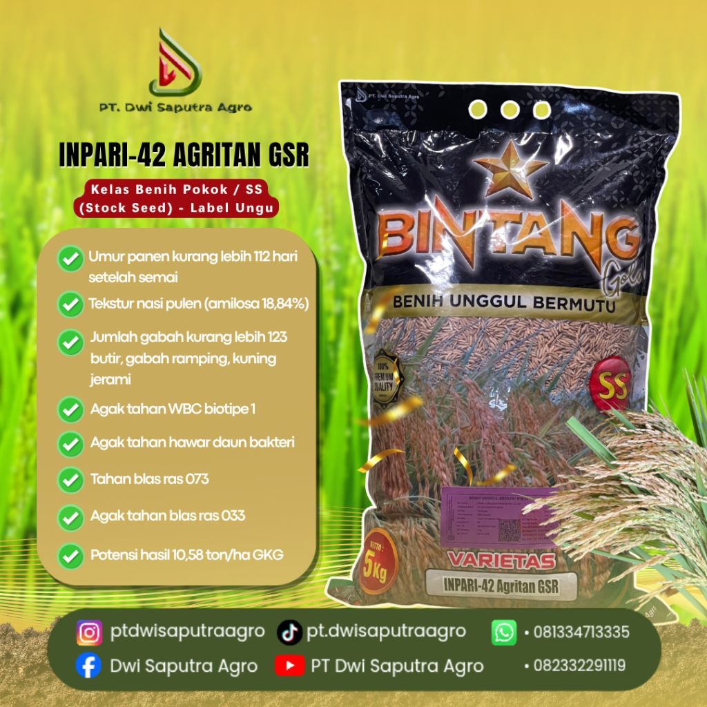Benih Padi Cap Bintang Gold Varietas "Inpari-42 Agritan GSR" Kelas Benih Pokok / SS (Stock Seed) - [